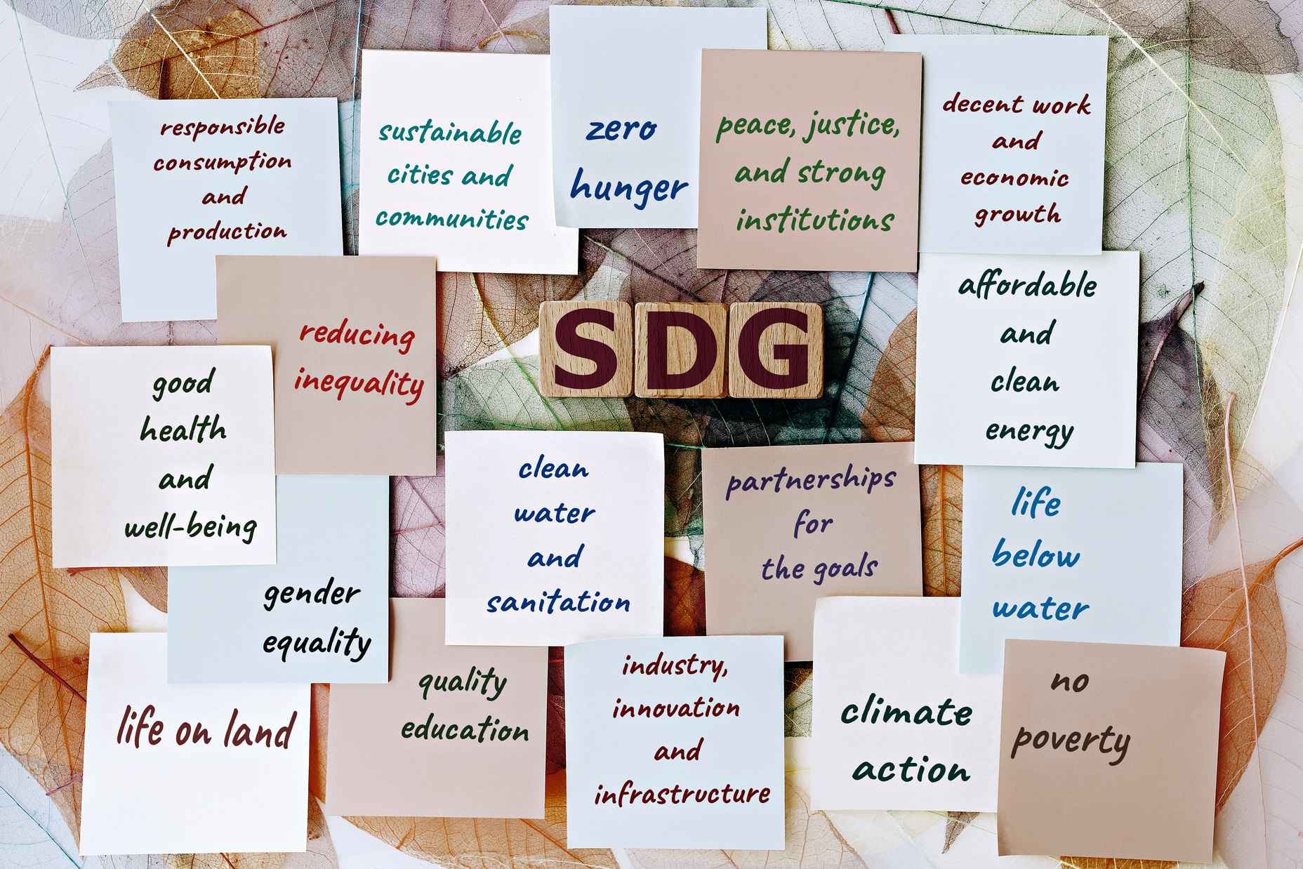 Photo on SDG (Sustainable Development Goals) theme. Wooden cubes with the acronym "SDG", and sticky notes, on the background of skeleton magnolia leaf